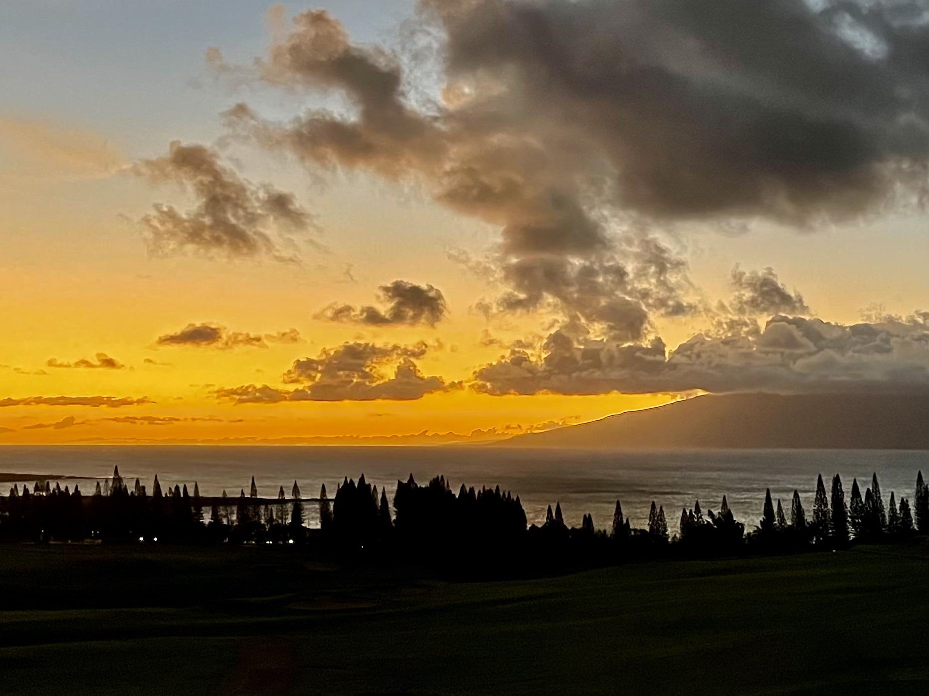 234 Crestview Road Lahaina, HI 96761 - Photo 31 of 35 Gallery Image 31