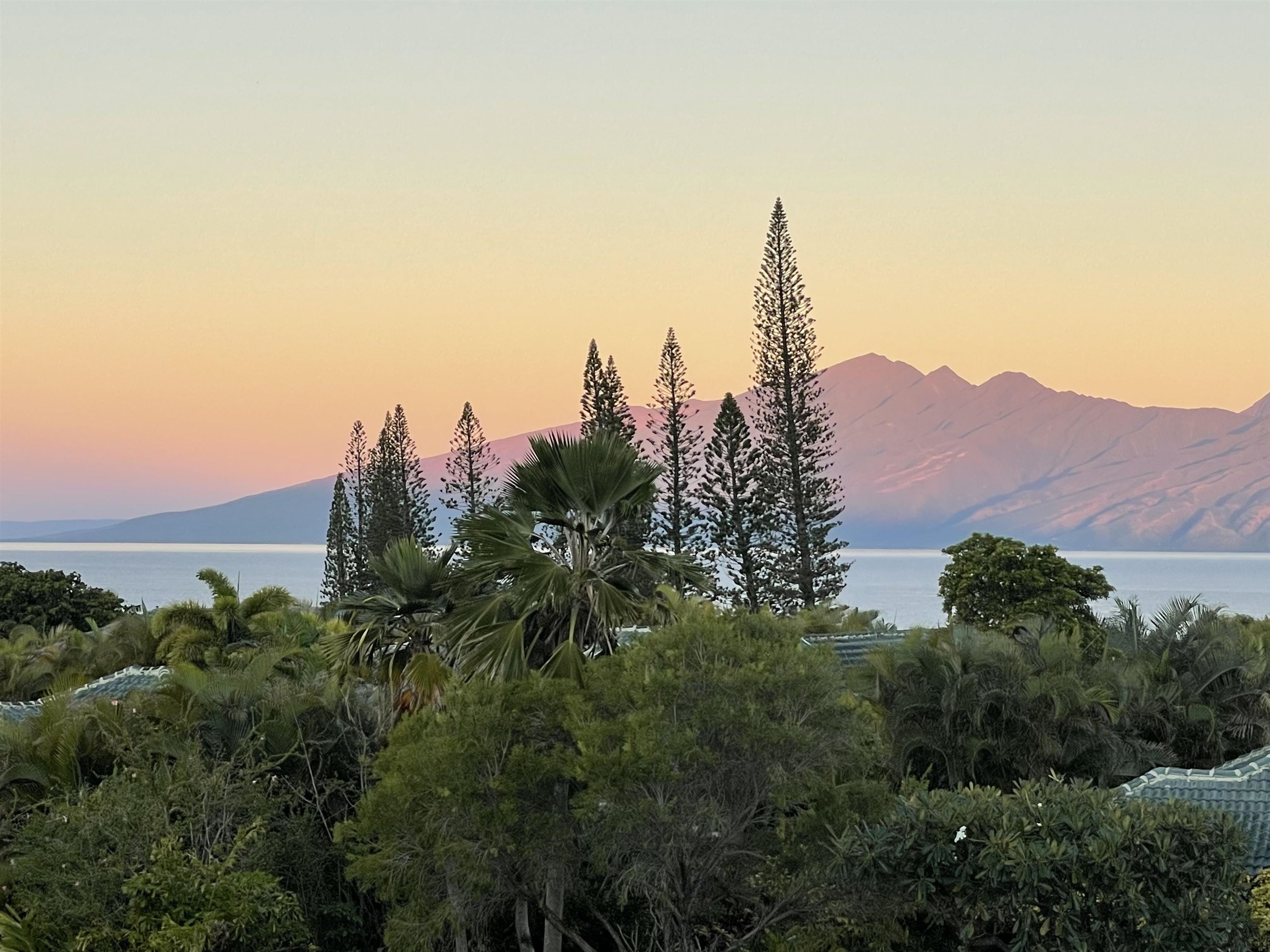 234 Crestview Road Lahaina, HI 96761 - Photo 32 of 35 Gallery Image 32
