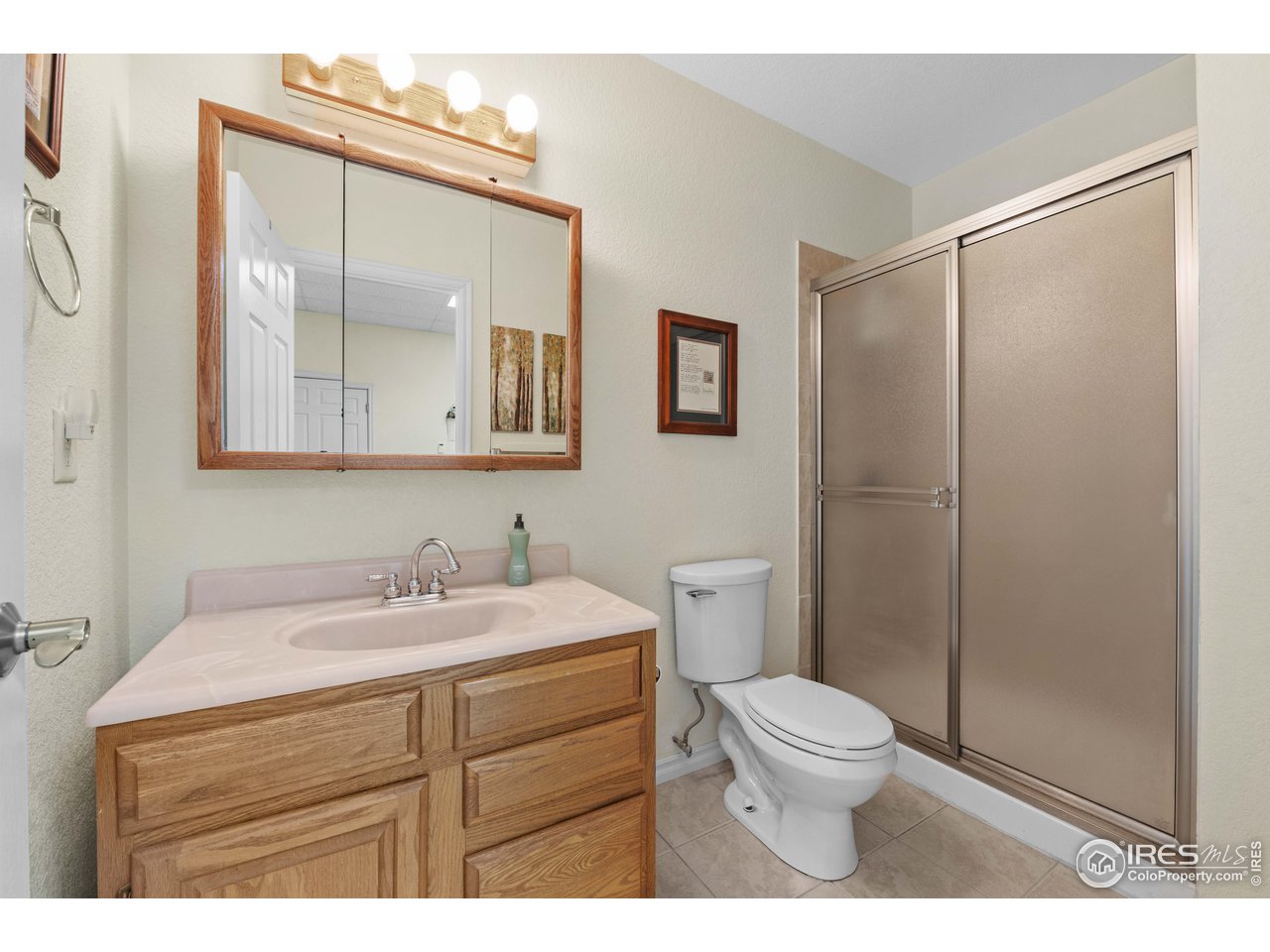 339 Cedar Drive Lyons, CO 80540 - Photo 30 of 37 a bathroom with a toilet a sink and mirror