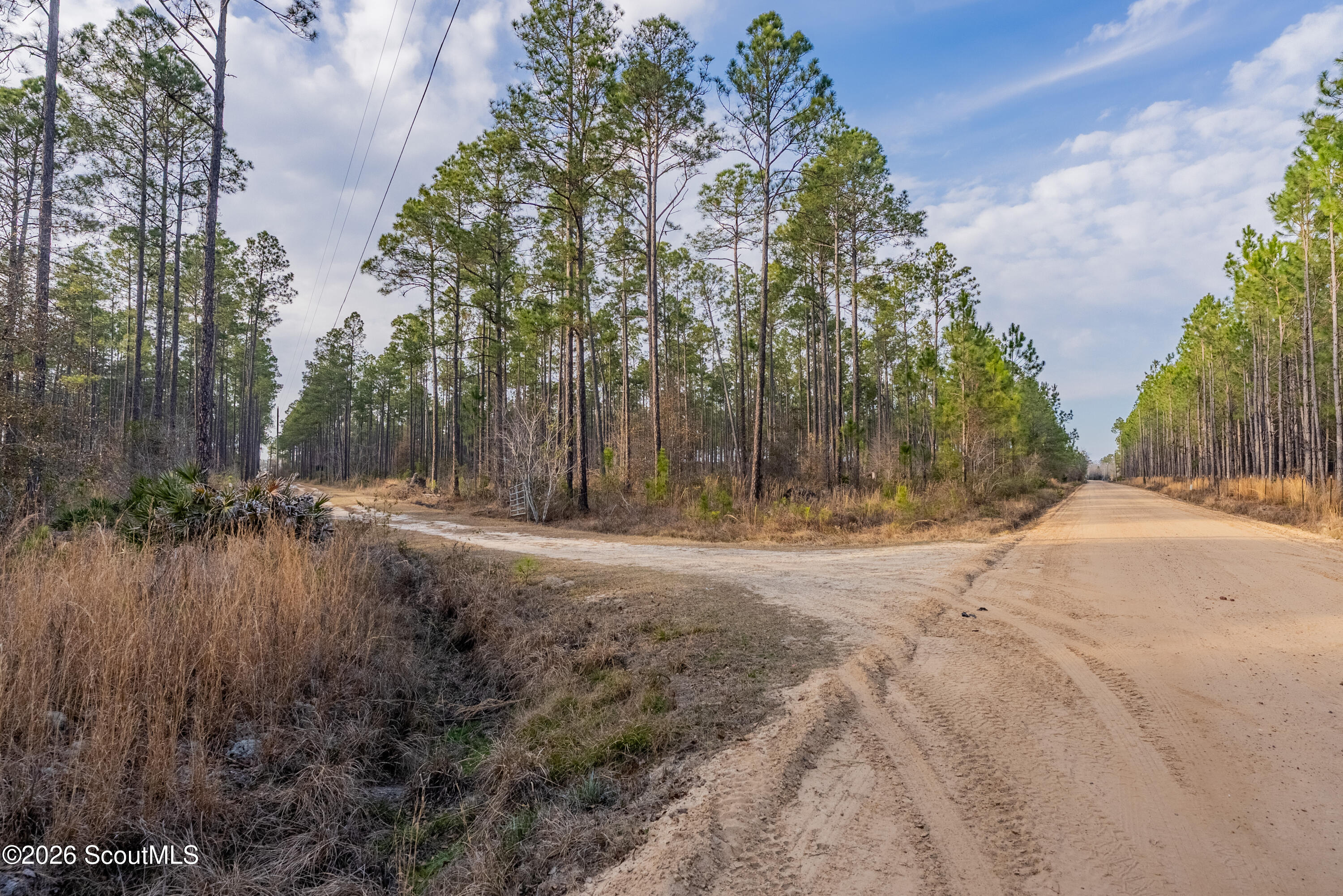 0 Reddish Road Odum, GA 31555 - Photo 46 of 46 230-AC-REDDISH-ODUM-45