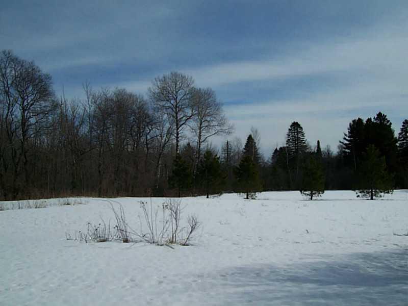 372 Pease Hill Road Anson, ME 04911 - Photo 4 of 13 Yard/Garden.