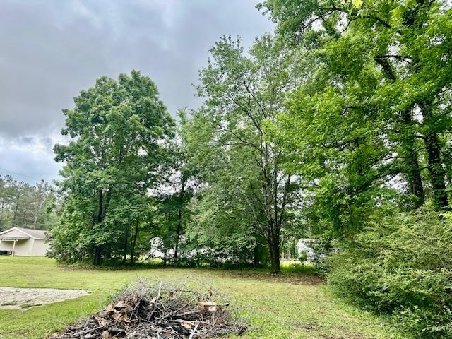 15 Brookwood Loop Adamsville, TN 38310 - Photo 18 of 21 a view of yard with green space
