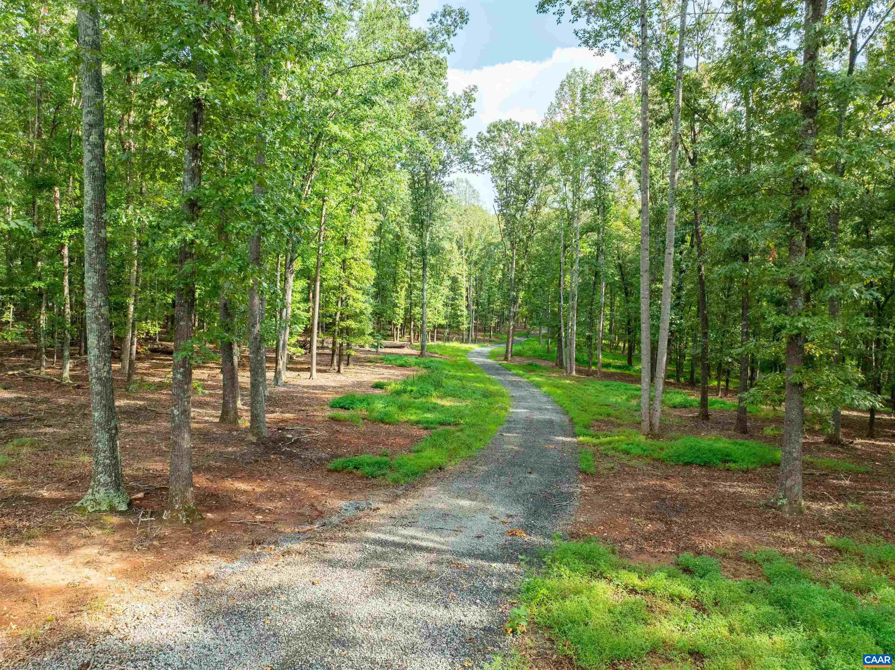 0 Dick Woods Road Charlottesville, VA 22903 - Photo 15 of 23 Gallery Image 15