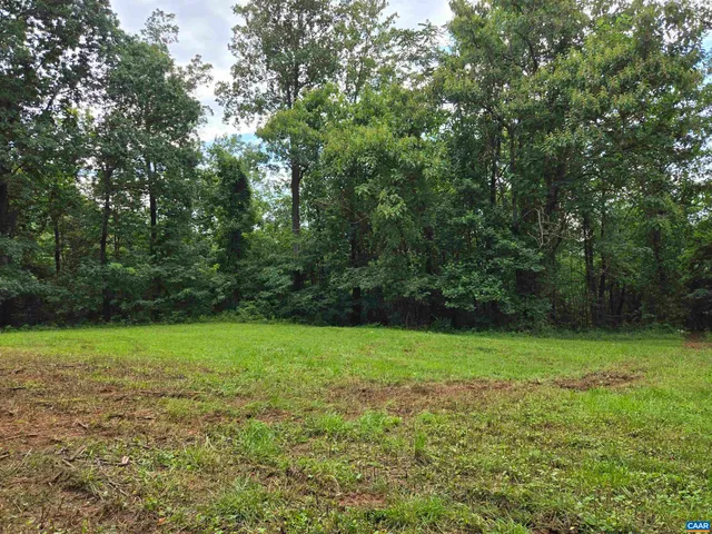 a view of a field with a trees