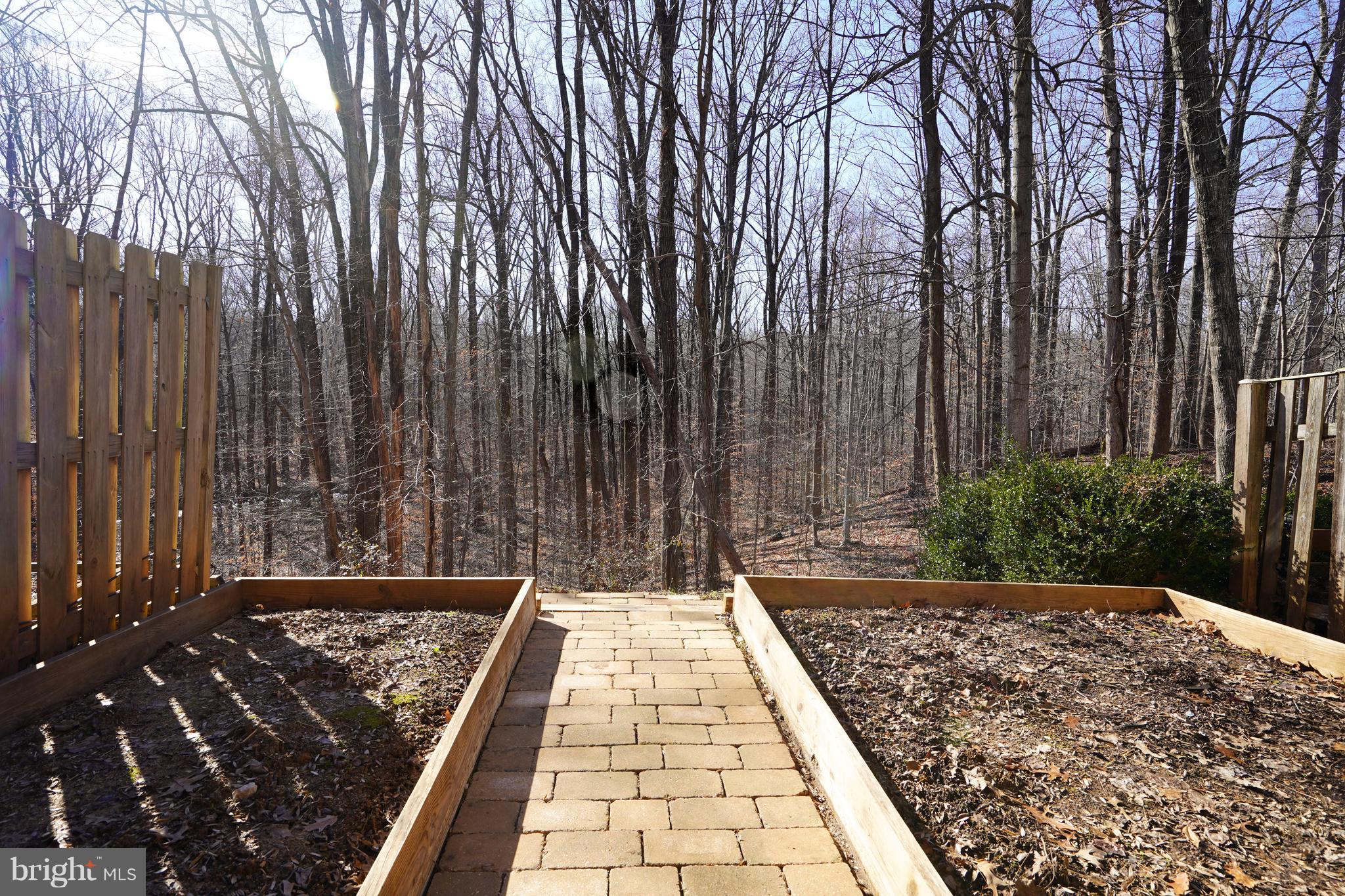 8836 Surveyors Place Springfield, VA 22152 - Photo 41 of 48 a view of a backyard