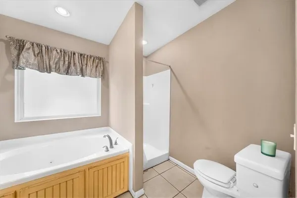 a bathroom with a bathtub and a toilet