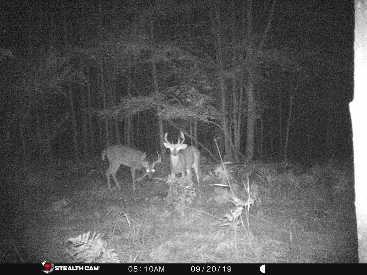 40-acres Hottis Road Whittemore, MI 48770 - Photo 22 of 23