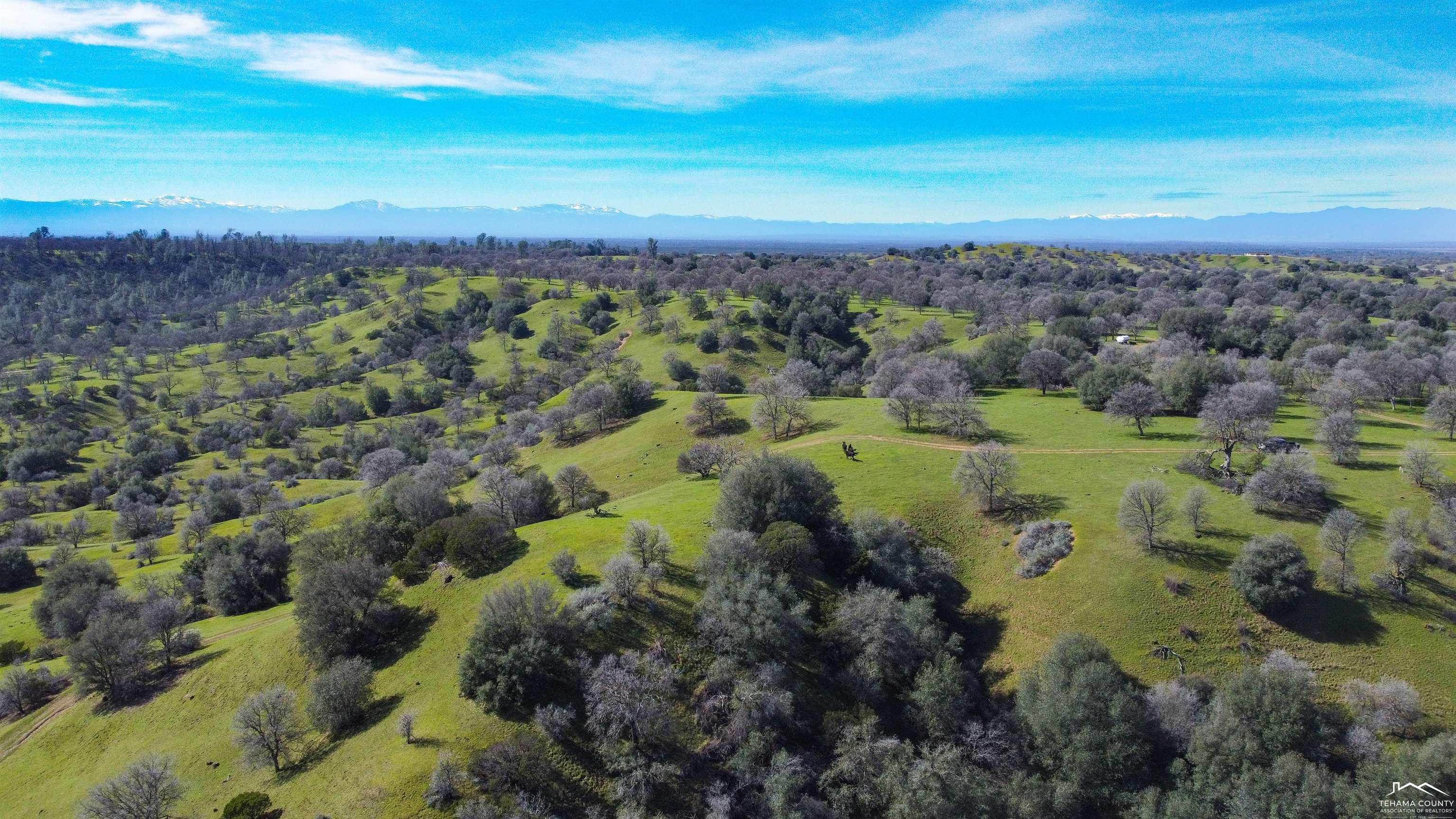 0 Jellys Ferry Road Red Bluff, CA 96080 - Photo 19 of 24 Gallery Image 19