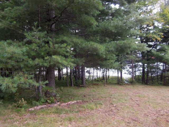 2499 Martha Lake Road Mercer, WI 54547 - Photo 1 of 16 Gallery Image 1