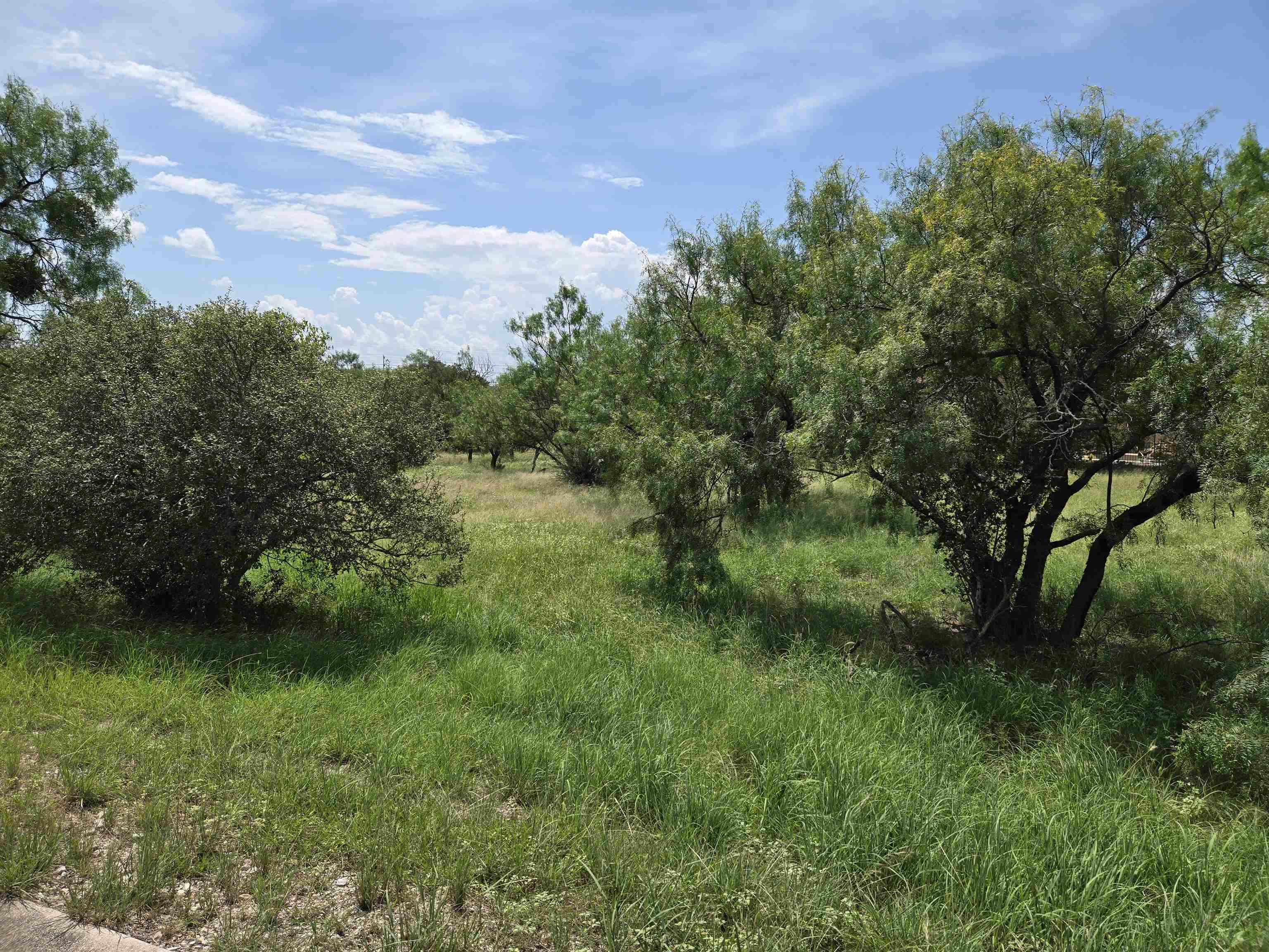 206 Colt Horseshoe Bay, TX 78657 - Photo 11 of 11