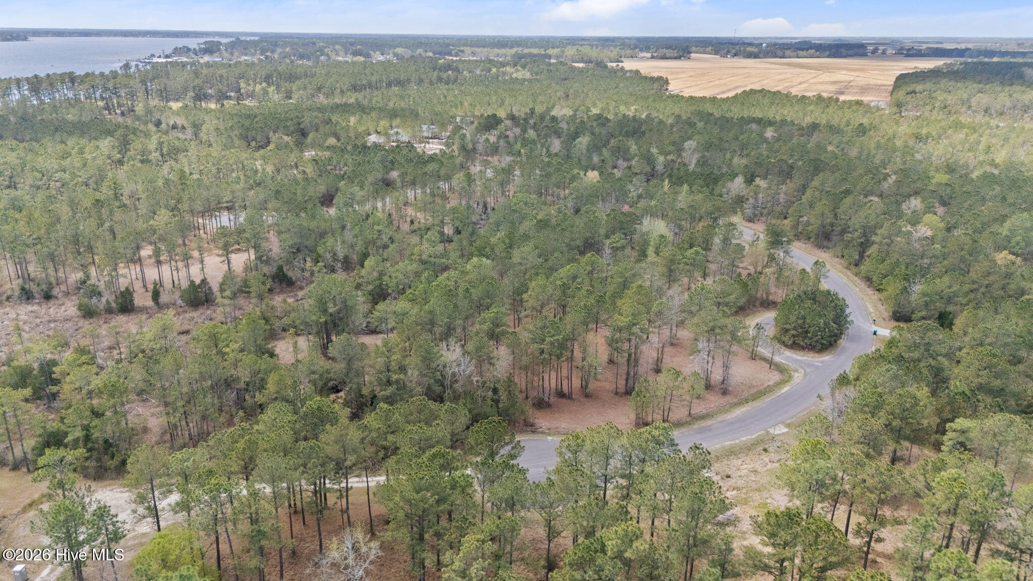 252 Shell Castle Lane Vandemere, NC 28587 - Photo 4 of 12 13-web-or-mls-DJI_20260331124242_0176_D