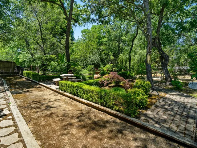 a view of a garden with a bench