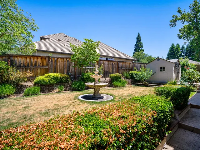 a view of a garden with plants and large trees