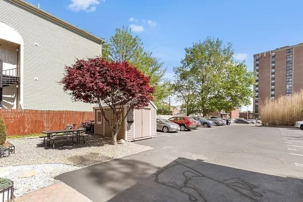 a view of a street with a tree in front of it