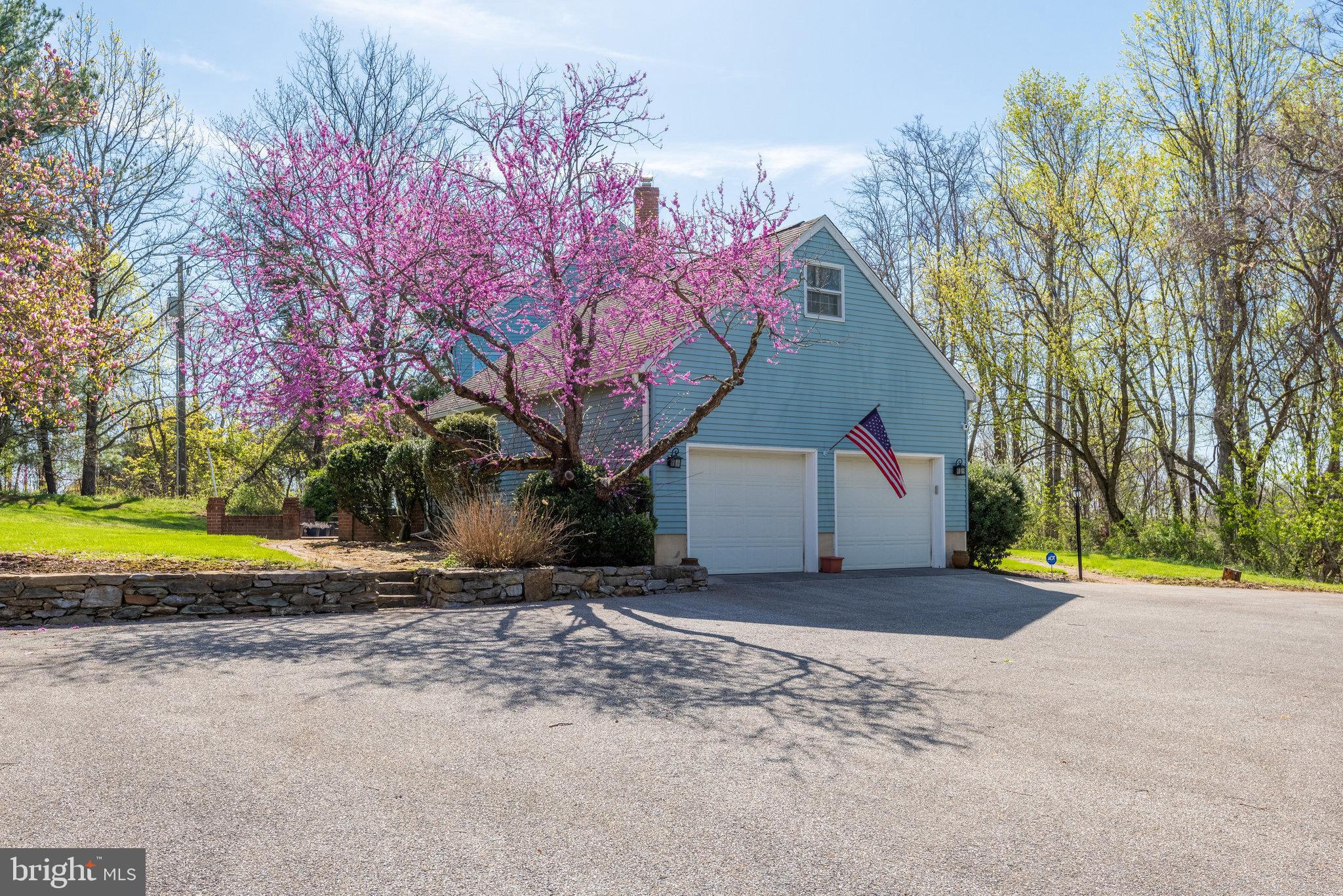 17890 Dry Mill Road Leesburg, VA 20175 - Photo 9 of 73 The spring flowers on these blooming trees