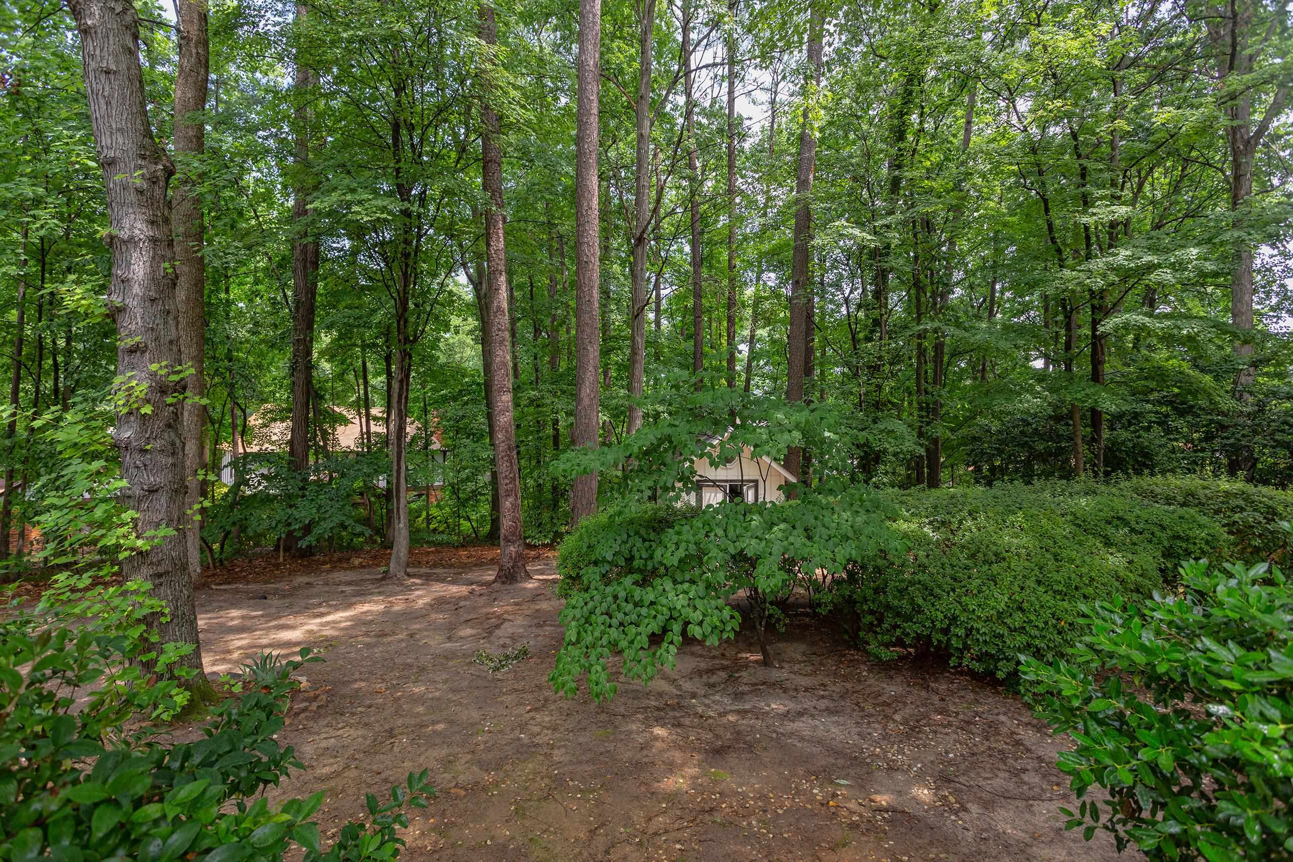 1305 Camille Court Raleigh, NC 27615 - Photo 56 of 70 Backyard