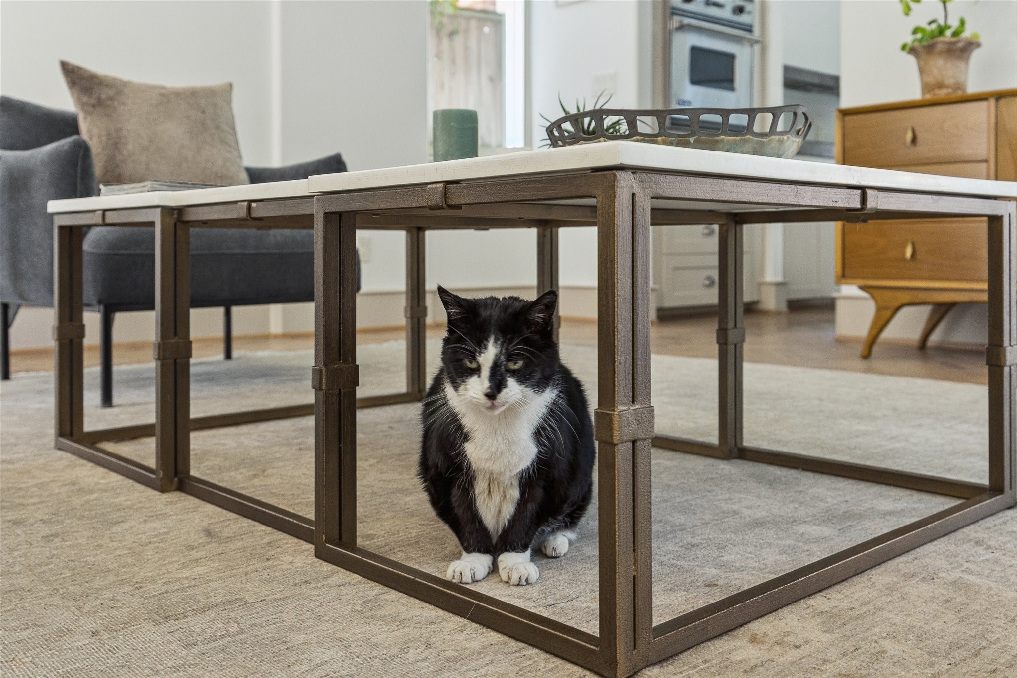 1807 Albans Road Houston, TX 77005 - Photo 12 of 39 a view of a living room