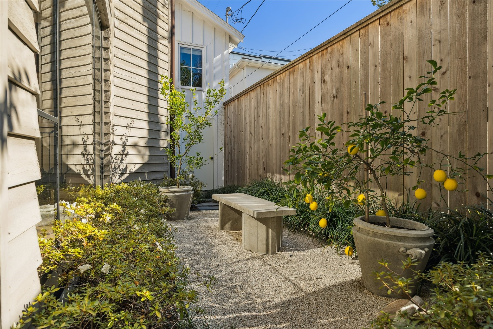 1807 Albans Road Houston, TX 77005 - Photo 30 of 39 a view of a backyard with plants and chairs
