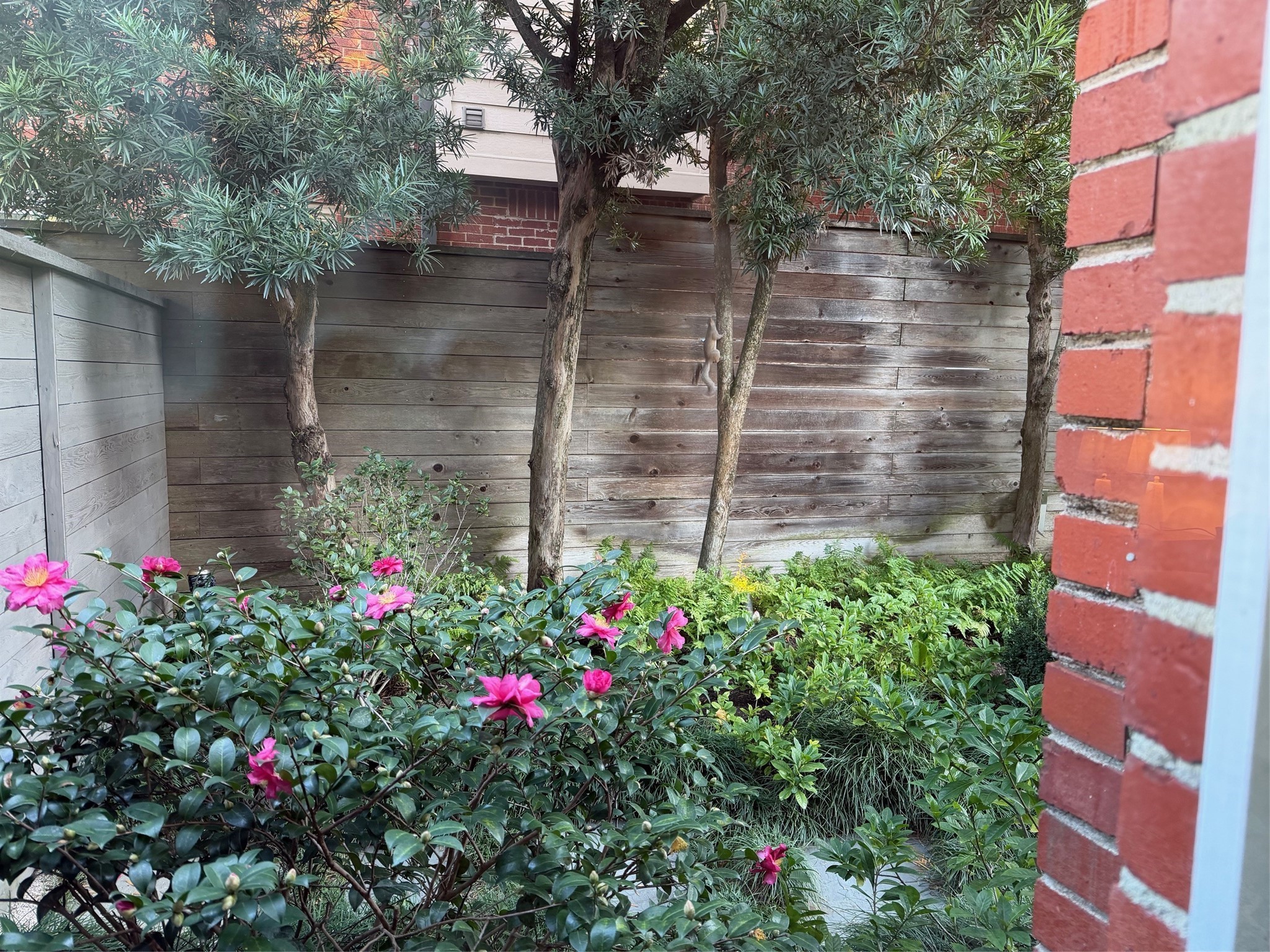 1807 Albans Road Houston, TX 77005 - Photo 35 of 39 a view of a flower garden in front of a house