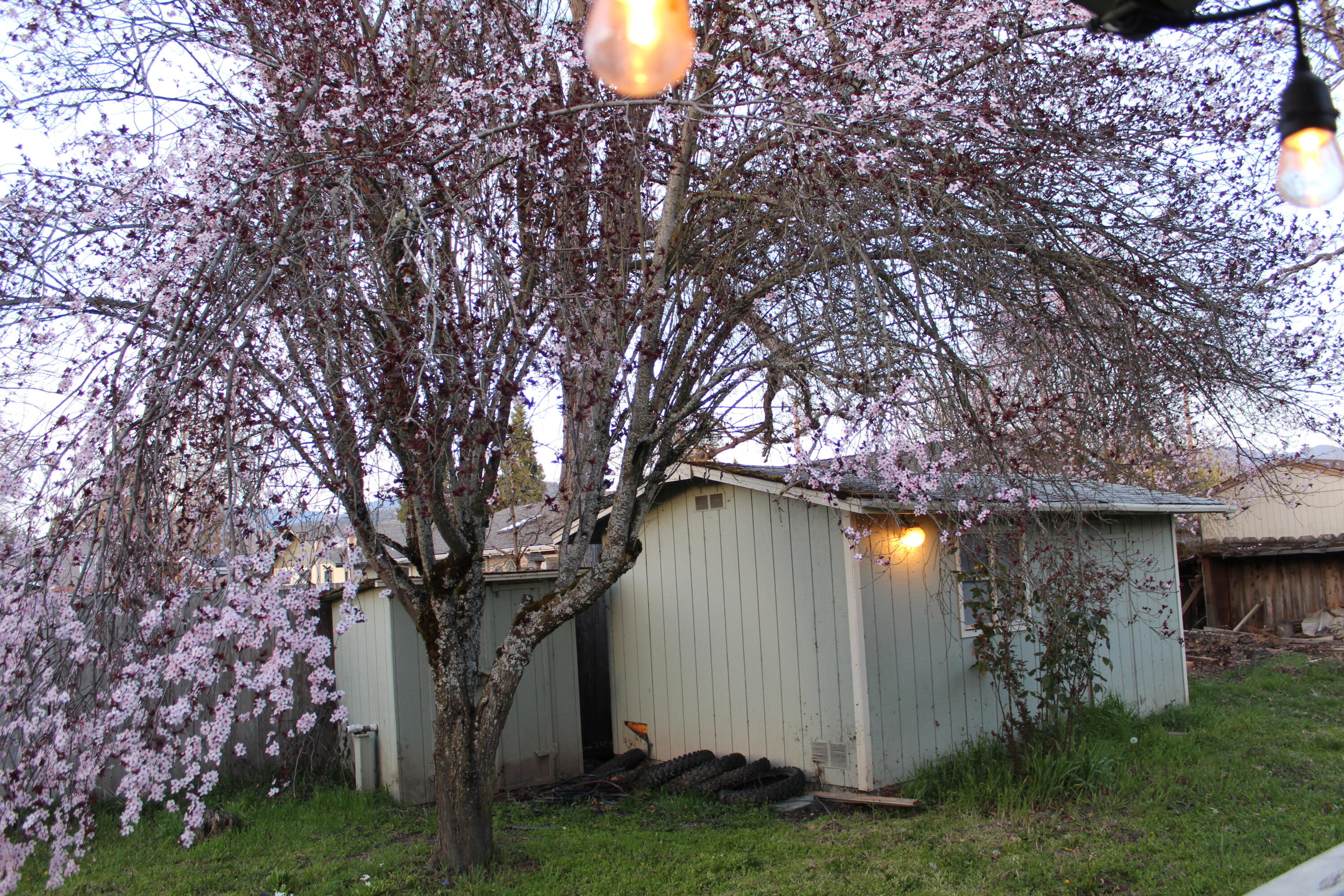 2516 Leonard Road Grants Pass, OR 97527 - Photo 23 of 23 IMG_1540