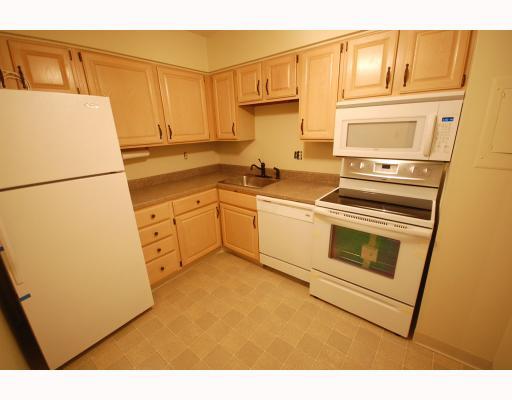 2160 Greentree Road, Unit 203 Pittsburgh, PA 15220 - Photo 6 of 14 Kitchen.