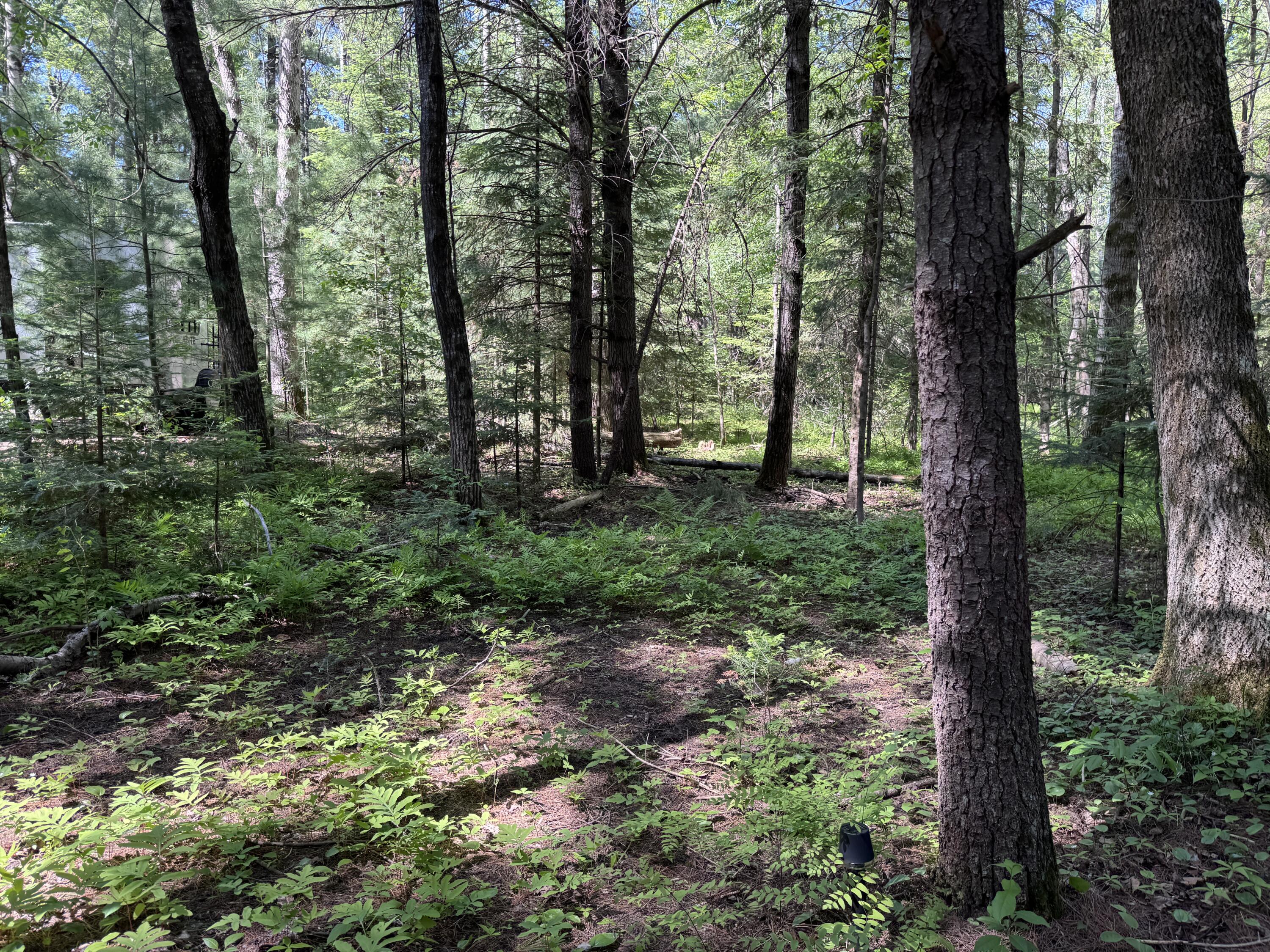 1.68-ac Peterson Road Wausaukee, WI 54177 - Photo 11 of 41 11