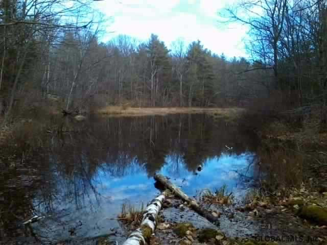 120 Old Road Grafton, NY 12052 - Photo 24 of 25 Photo 24