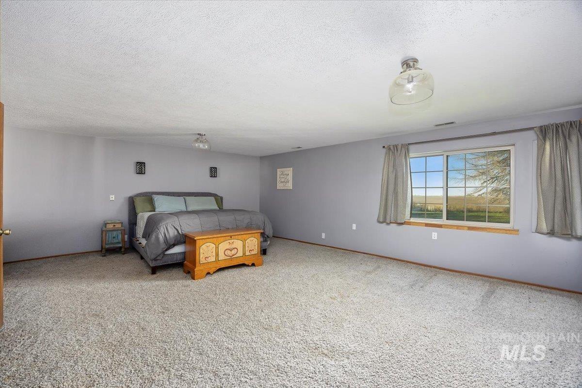 173 Main Line Ranch Road Rupert, ID 83350 - Photo 26 of 47 Unfurnished bedroom with carpet floors and a textured ceiling