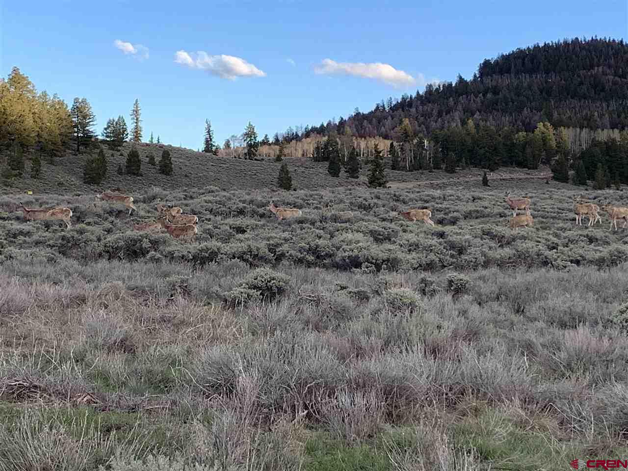 1019 Uncompahgre Drive Powderhorn, CO 81243 - Photo 32 of 33 a view of a dry field with lots of bushes