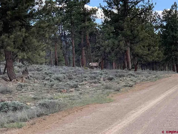 $399,000 | 1019 Uncompahgre Drive, Powderhorn, CO 81243