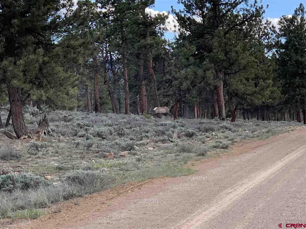 1019 Uncompahgre Drive Powderhorn, CO 81243 - Photo 33 of 33 a view of backyard with green space