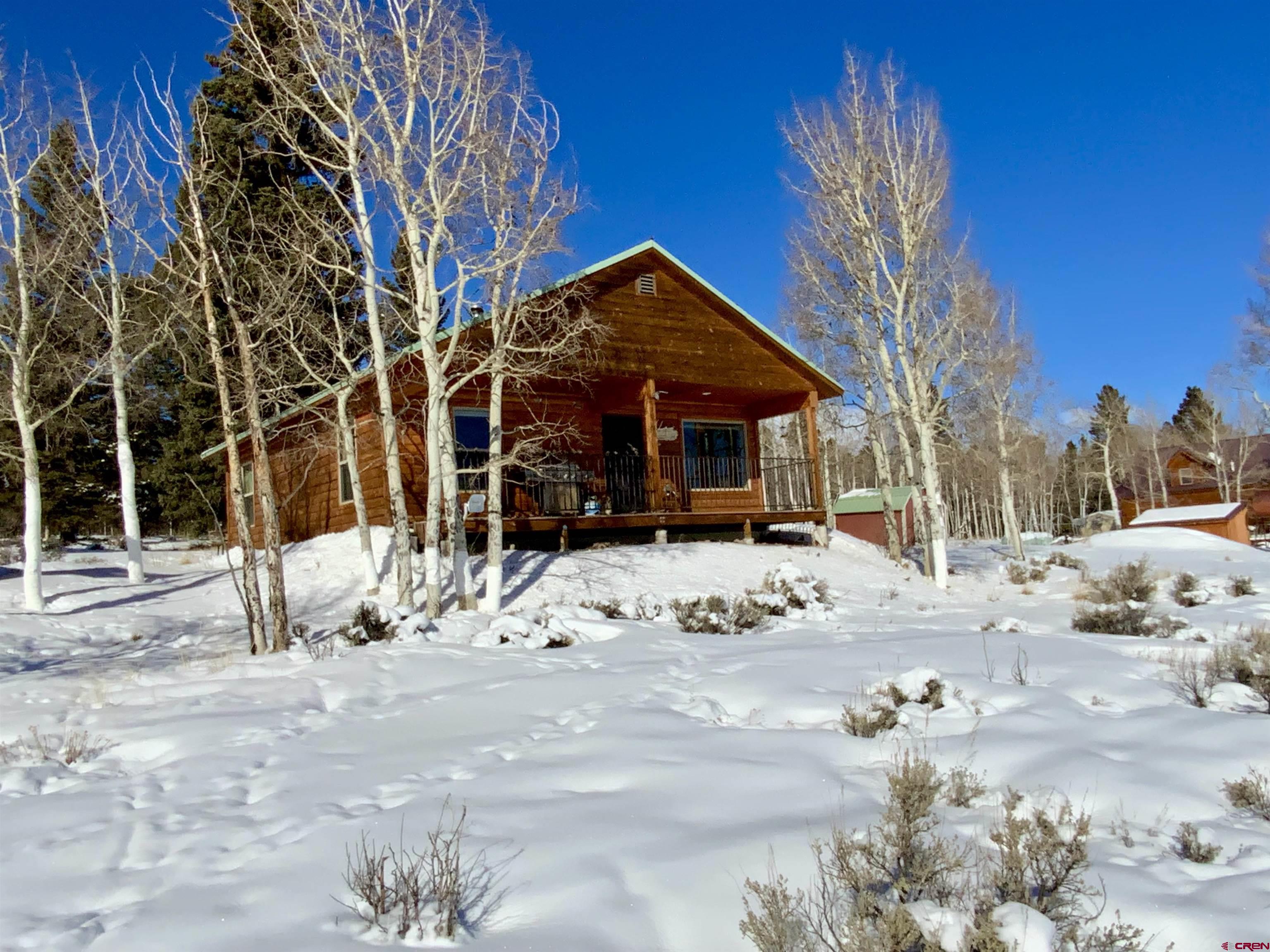 1019 Uncompahgre Drive Powderhorn, CO 81243 - Photo 4 of 33 a view of a road with a snow on the road