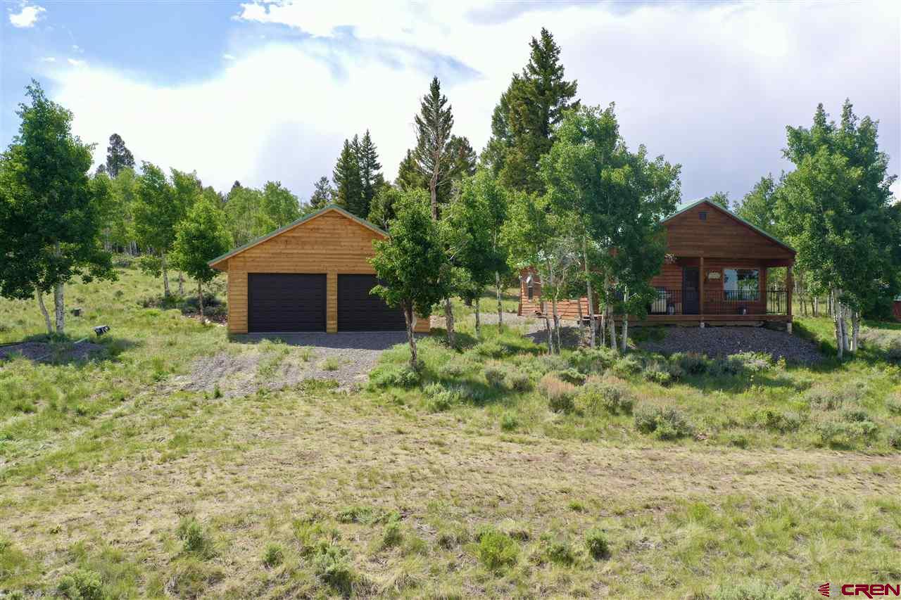 1019 Uncompahgre Drive Powderhorn, CO 81243 - Photo 7 of 33 a front view of a house with a yard and trees