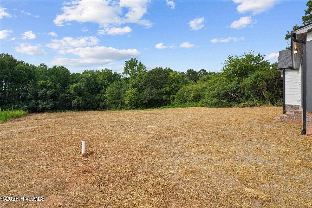 7401 Hill Road Spring Hope, NC 27882 - Photo 46 of 48 Gallery Image 46