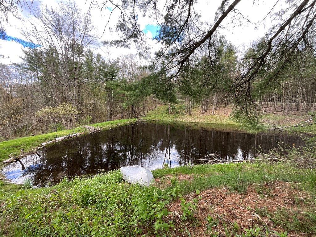 480 Buckley Hill Road Coventry, NY 13730 - Photo 24 of 39