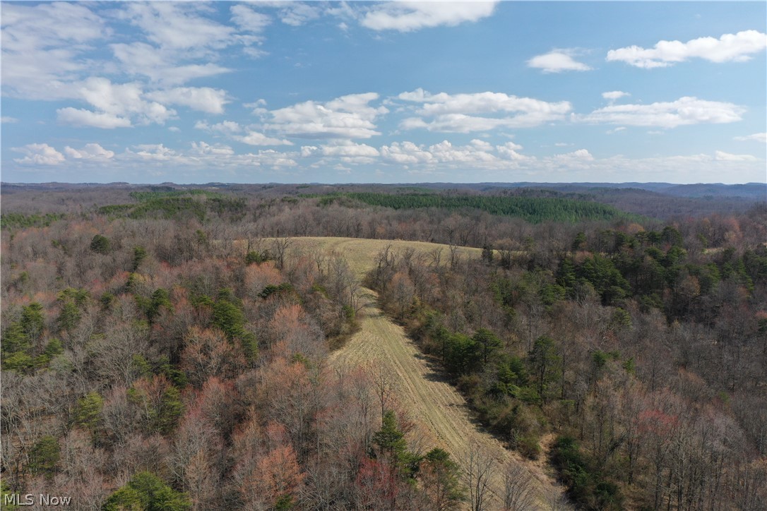 1 Sarvis Fork Road Sandyville, WV 25275 - Photo 6 of 44 Gallery Image 6