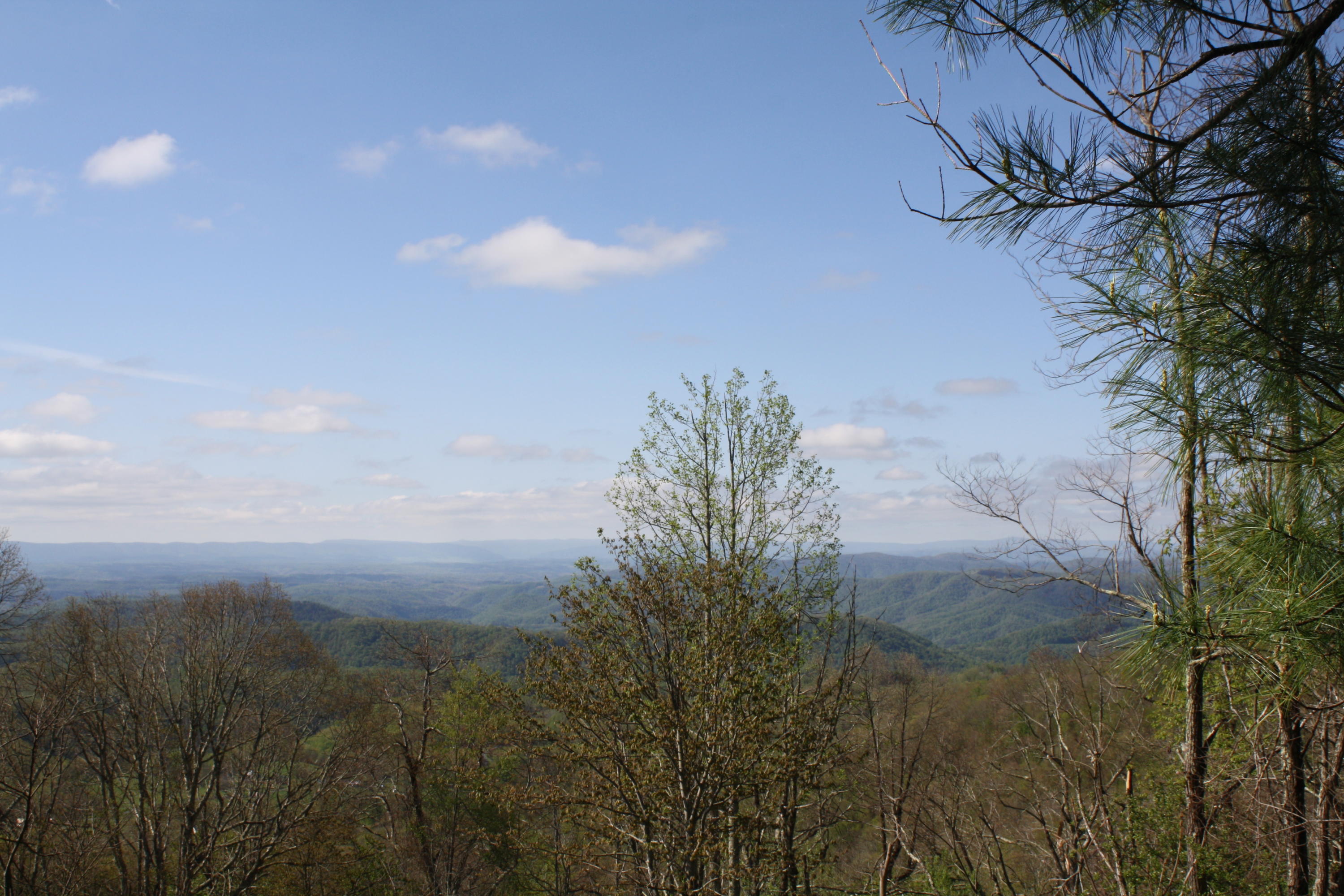 1161 Plumley Mountain Road Sandstone, WV 25985 - Photo 77 of 138 Gallery Image 77