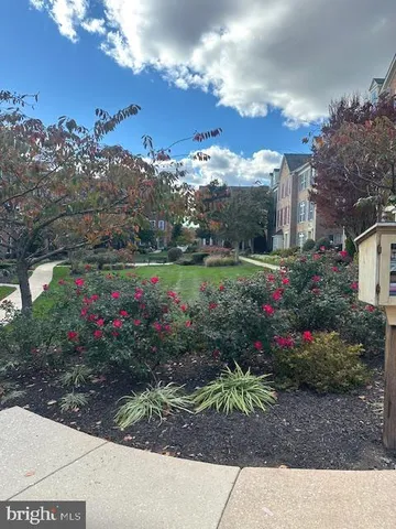 a view of a pathway with a flower garden