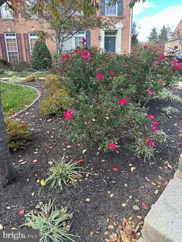 a view of a flower arrangement in a garden