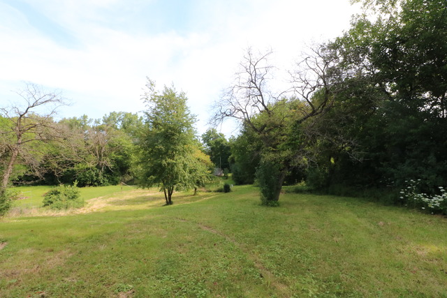 211 Old Elm Road Joliet, IL 60433 - Photo 10 of 12 a ground with lots of trees
