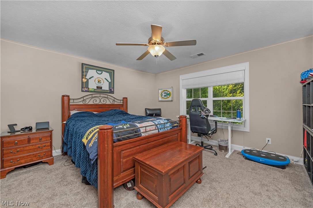 1045 North Quarry Road Amherst, OH 44001 - Photo 27 of 50