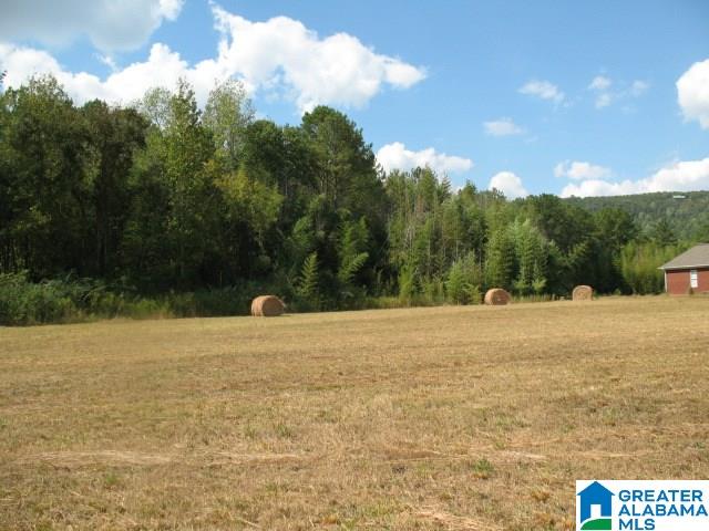 1-parcel 1-parcel Crawford Cove Road, Unit 1 LOT Springville, AL 35146 - Photo 3 of 4