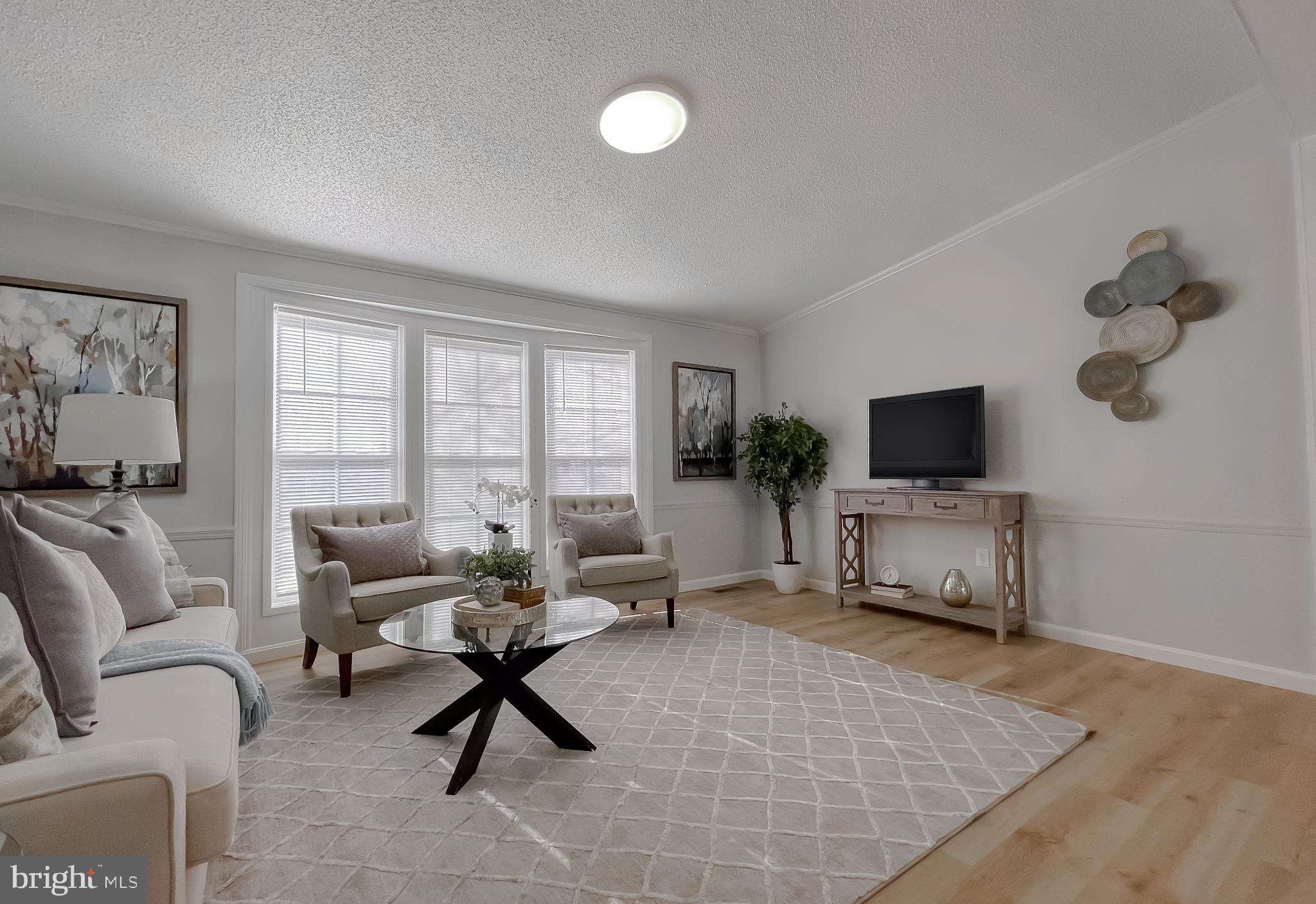 45908 South Springsteen Court California, MD 20619 - Photo 2 of 35 Get cozy in this large living room.