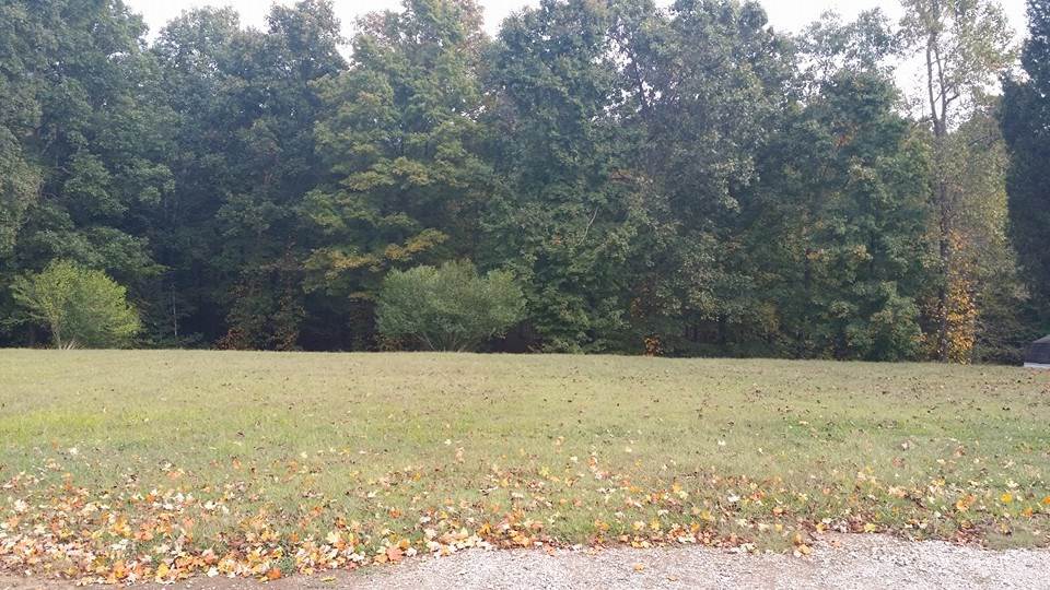 4963 Chestnut Grove Road Tell City, IN 47586 - Photo 6 of 6
