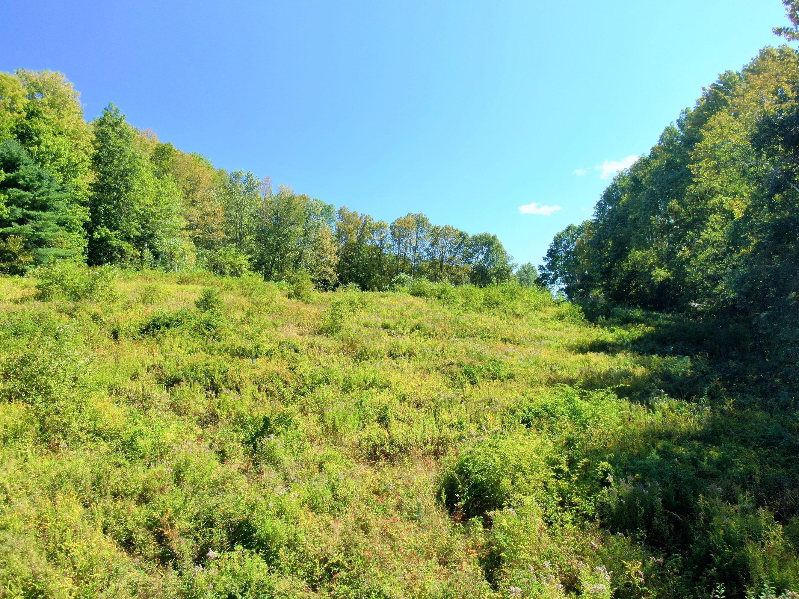135 Old Lewiston Road North Monmouth, ME 04265 - Photo 69 of 74 135 Old Lewiston Road