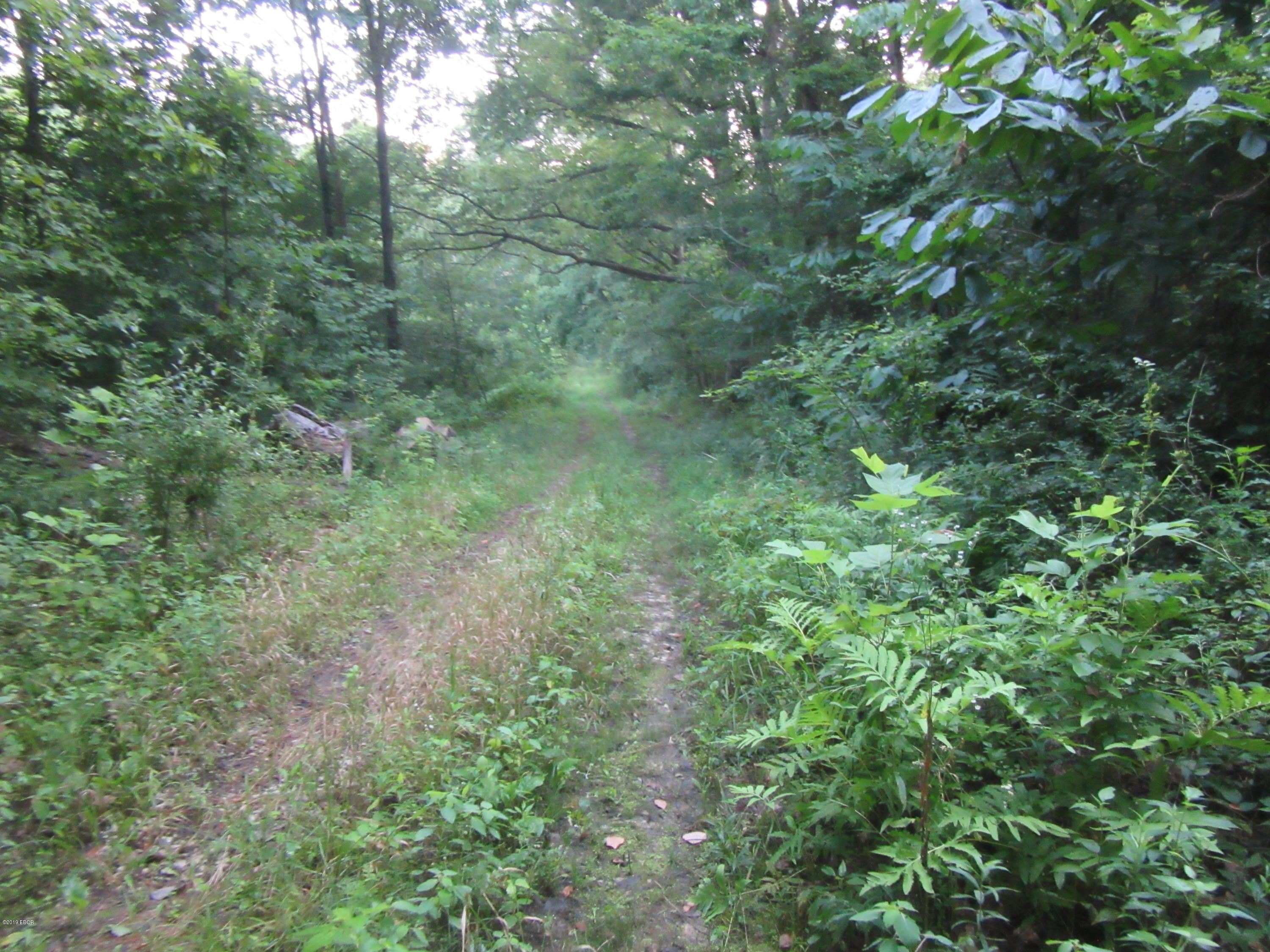 0 George Bluff Loop Cypress, IL 62923 - Photo 2 of 7