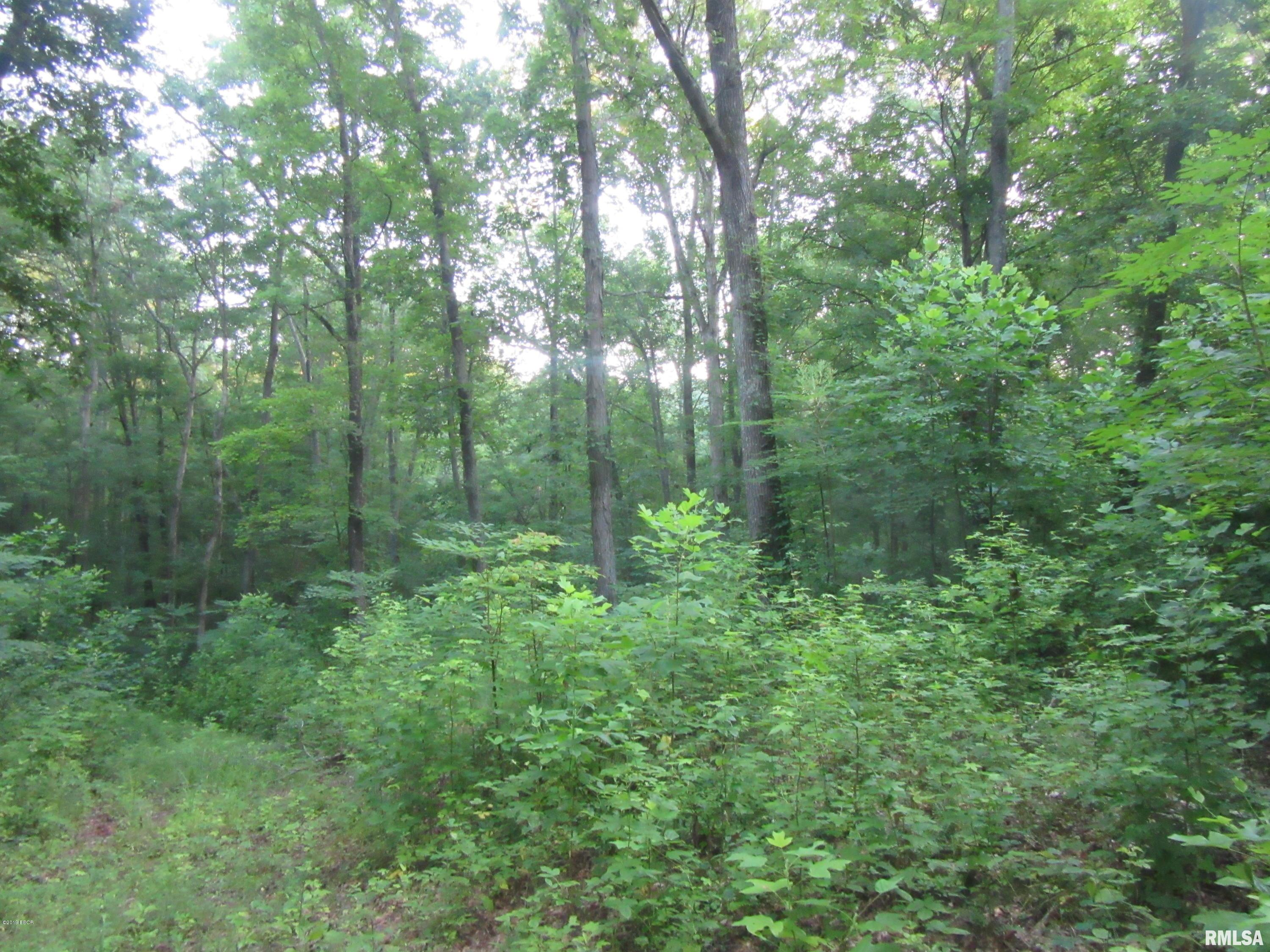 0 George Bluff Loop Cypress, IL 62923 - Photo 4 of 7