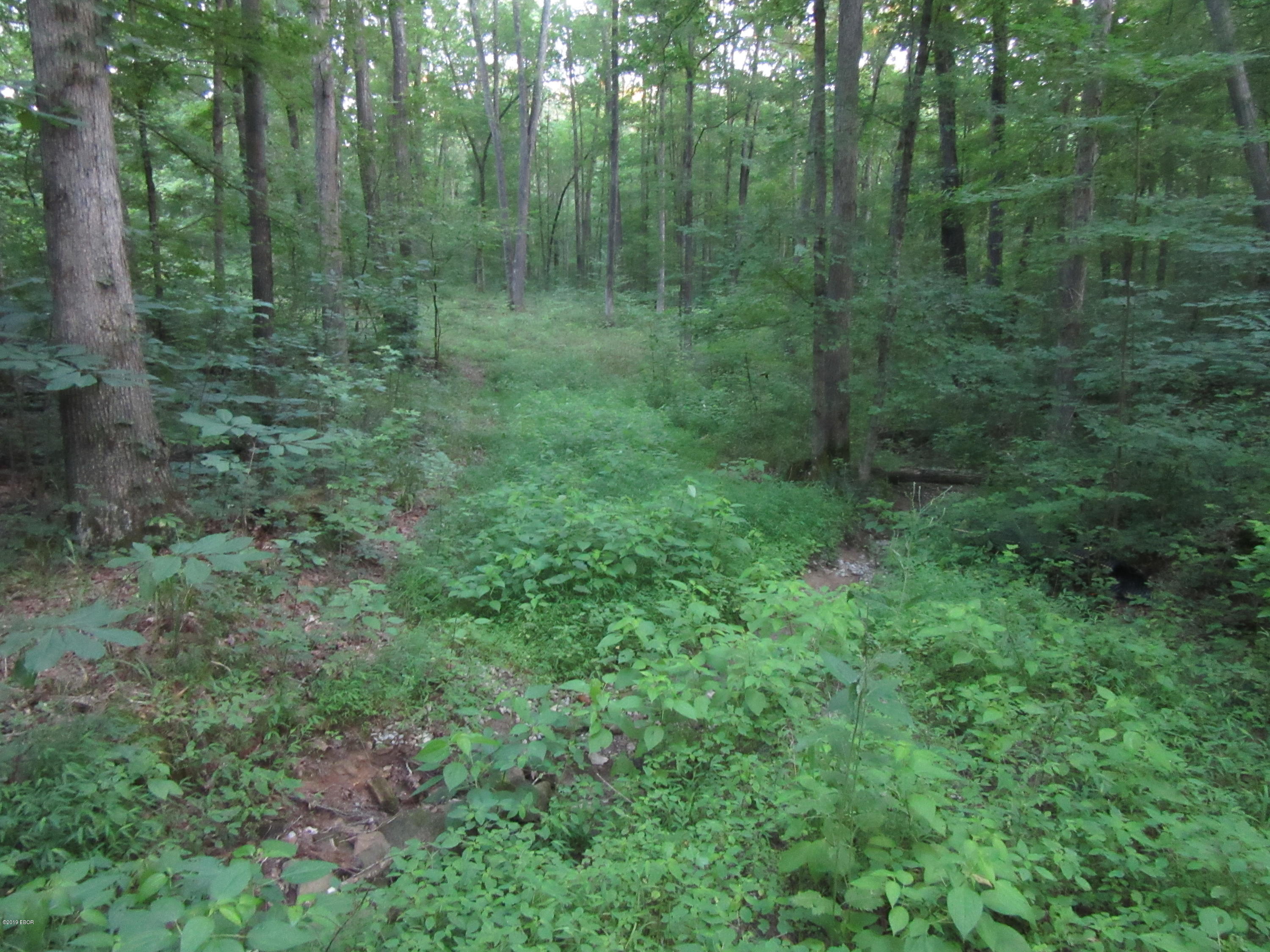 0 George Bluff Loop Cypress, IL 62923 - Photo 5 of 7