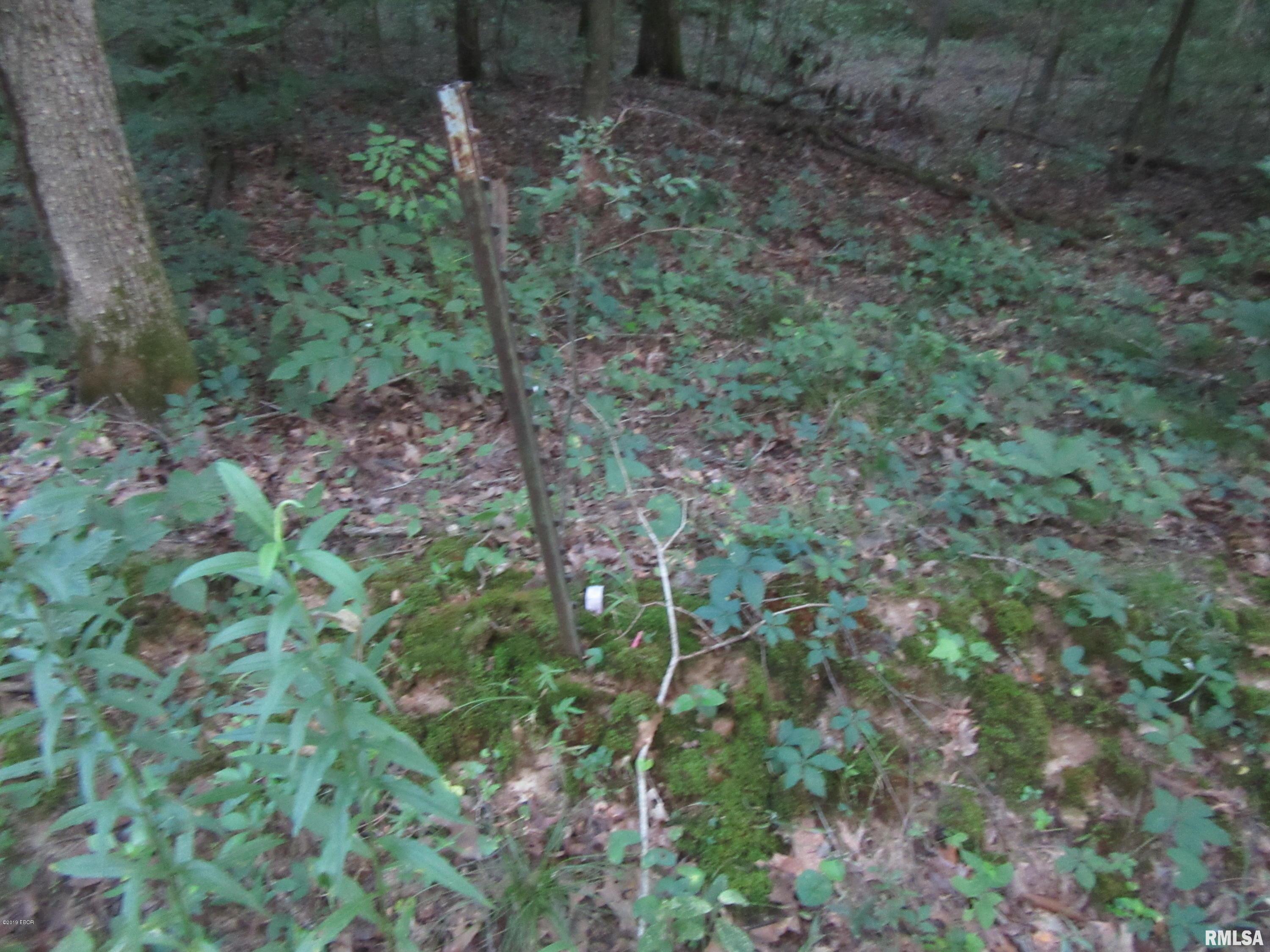 0 George Bluff Loop Cypress, IL 62923 - Photo 6 of 7