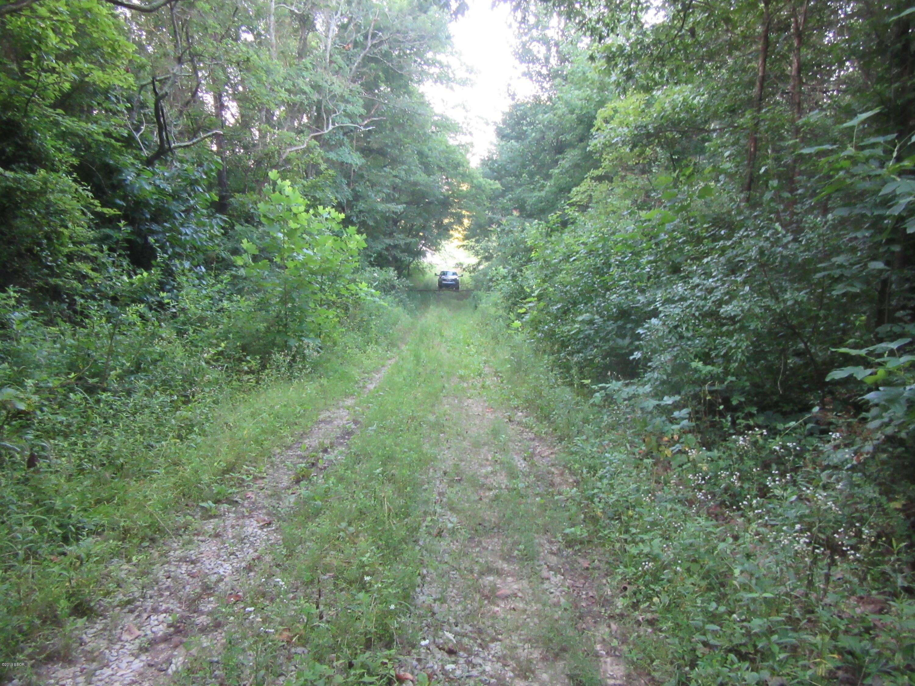 0 George Bluff Loop Cypress, IL 62923 - Photo 7 of 7